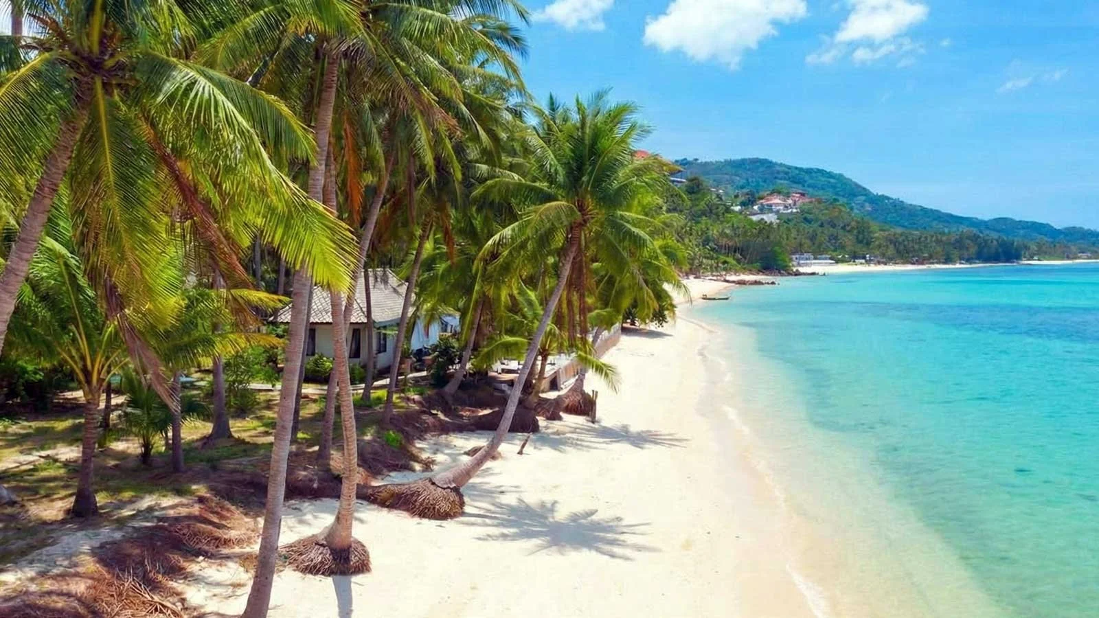 Samui Beach Club: Built for How Web Search Works in 2026